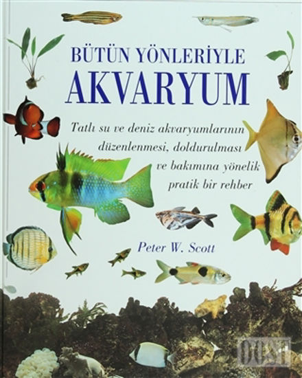 Bütün Yönleriyle Akvaryum