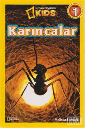 Karıncalar - Seviye 1