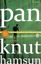Pan