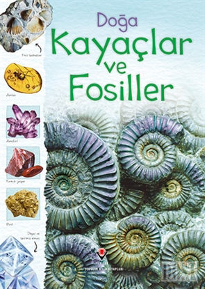 Doğa: Kayaçlar ve Fosiller