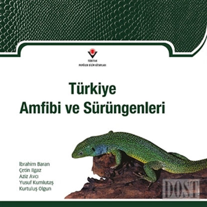 Türkiye Amfibi ve Sürüngenleri