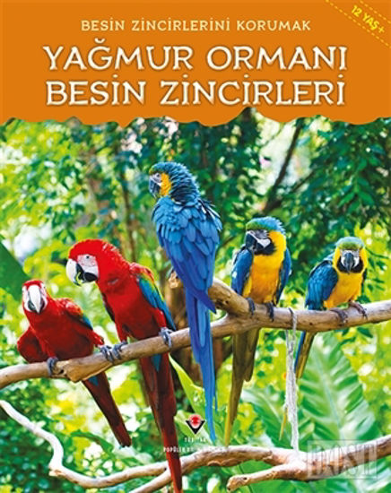 Besin Zincirlerini Korumak - Yağmur Ormanı Besin Zincirleri