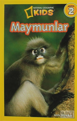 Maymunlar