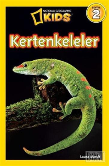 Kertenkeleler