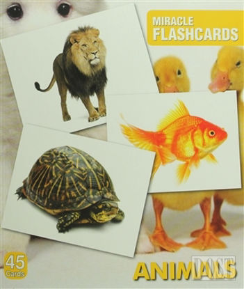 Miracle Flashcards Animals
