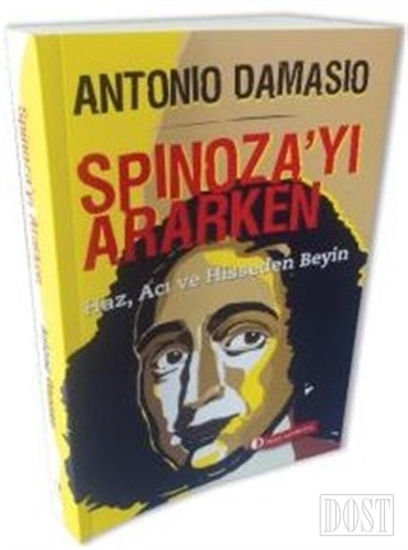 Spinoza’yı Ararken