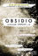 Obsidio
