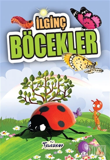 İlginç Böcekler