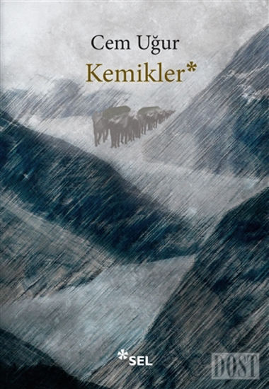 Kemikler