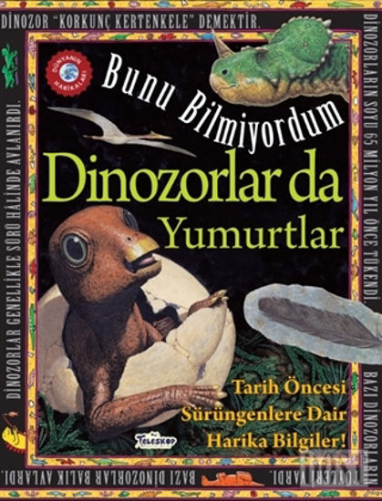 Dinozorlar Da Yumurtlar - Bunu Bilmiyordum