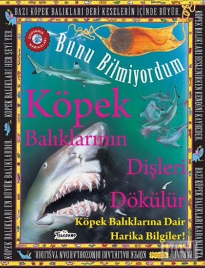 Köpek Balıklarının Dişleri Dökülür - Bunu Bilmiyordum