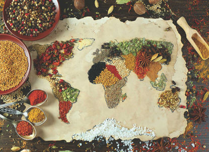 Baharatlı Dünya Haritası    1000P resmi