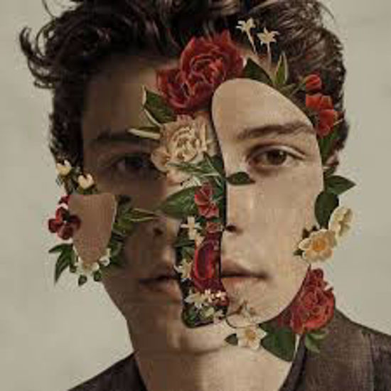 Shawn Mendes resmi