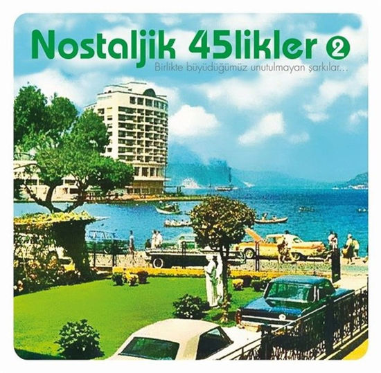 Nostaljık 45 Likler 2 resmi