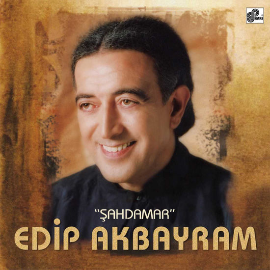 Şahdamar resmi