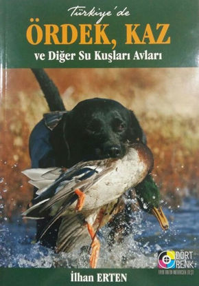 Türkiye'de Ördek Kaz Ve Diğer Su Kuşları Avları resmi