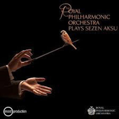 Royal Philharmanic Orchestra Plays Sezen Aksu resmi