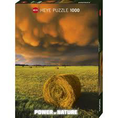 Rising Storm    1000P resmi