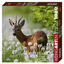 Roebuck    1000P resmi