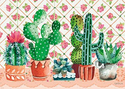Cactus Family   1000P resmi