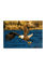 Eagle At Hunting   100P resmi