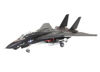 F-14A Blacktomcat resmi