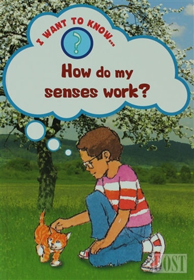 How Do My Senses Work 
