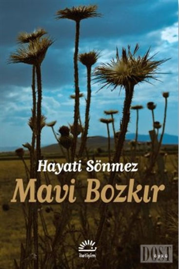 Mavi Bozk r