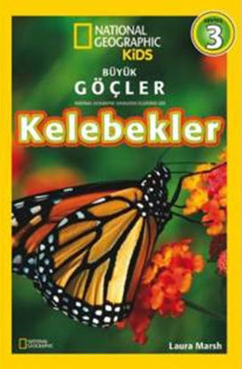 Kelebekler resmi