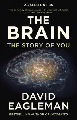 The Brain The Story Of You resmi