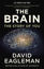 The Brain The Story Of You resmi