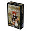 Two Sisters, Pierre-Auguste Renoir    1000P resmi