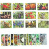 İlk 50 Sebze Meyve Kartları resmi
