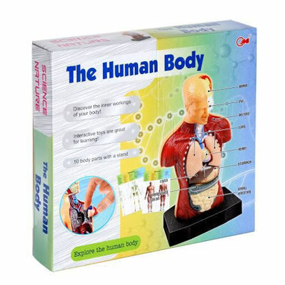 Human Body resmi