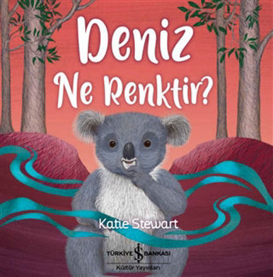 Deniz Ne Renktir? resmi