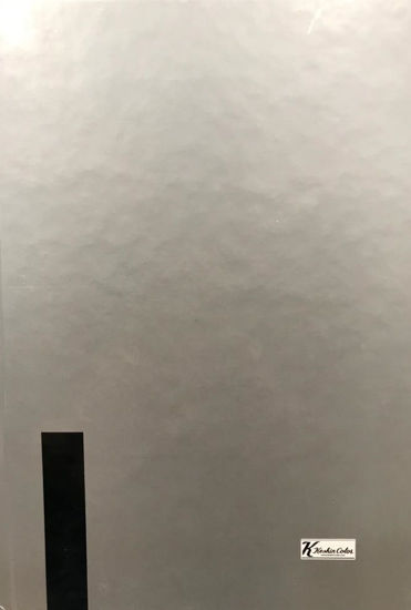 Keskin Color 17*24 72  Yaprak Sert Kapak Ciltli Schwarz Bind - Gümüş resmi