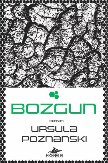 Bozgun resmi