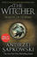 The Witcher Season Of Storms resmi
