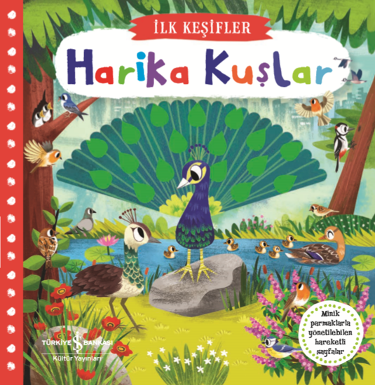 Harika Kuşlar - İlk Keşifler resmi