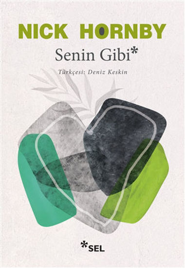 Senin Gibi resmi