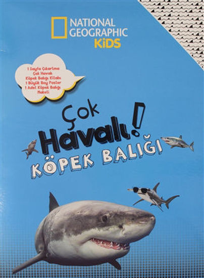 Çok Havalı Köpek Balığı resmi