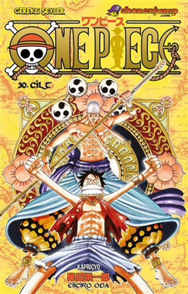 One Piece 30. Cilt resmi