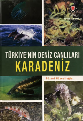 Karadeniz - Türkiye'nin Deniz Canlıları (Ciltli) resmi