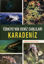 Karadeniz - Türkiye'nin Deniz Canlıları (Ciltli) resmi