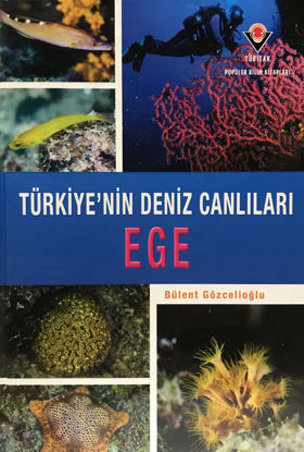 Ege - Türkiye'nin Deniz Canlıları (Ciltli) resmi
