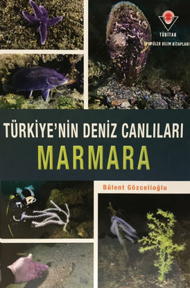 Marmara - Türkiye'nin Deniz Canlıları (Ciltli) resmi