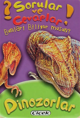 Sorular ve Cevaplar - Dinozorlar resmi