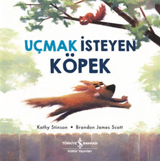 Uçmak İsteyen Köpek resmi