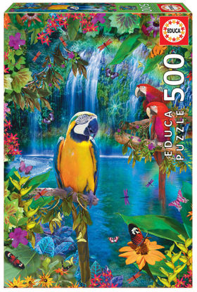 Bird tropical land 500P resmi