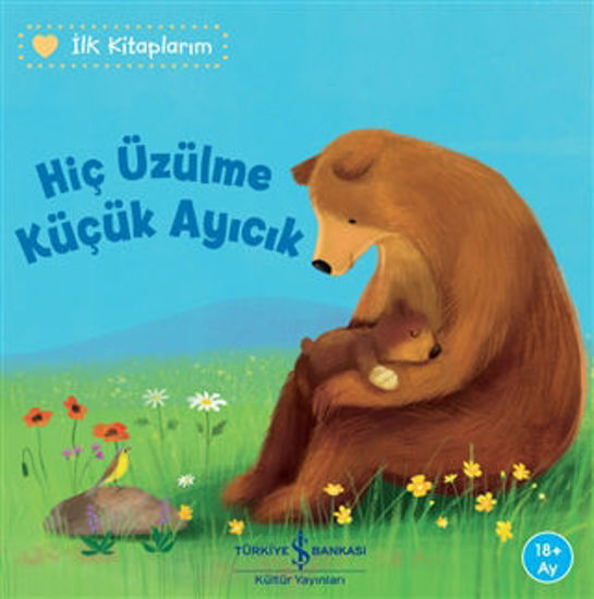 Hiç Üzülme Küçük Ayıcık - İlk Kitaplarım resmi